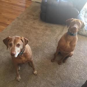 Meet your Posher, Steve